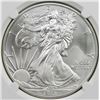 Image 1 : 2013 AMERICAN SILVER EAGLE