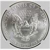 Image 2 : 2013 AMERICAN SILVER EAGLE