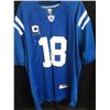 Image 2 : PEYTON MANNING FOOTBALL JERSEY