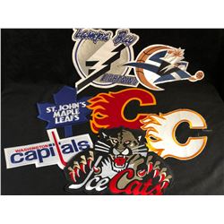 LARGE HOCKEY JERSEY CRESTS LOT