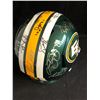 Image 4 : TEAM SIGNED EDMONTON ESKIMOS FOOTBALL HELMET (AJ SPORTS COA)