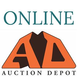THIS AUCTION FEATURES NEW SHOES, HOUSWARES, GROCERY, BED 