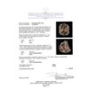 Image 6 : 0.84 ctw White and Brown Diamond Ring - 14KT Rose Gold