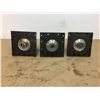 Image 7 : (3) Fanuc A06B-0376-B575 Servo Motor w/ A860-0360-T001 PulseCoder