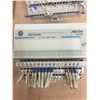 Image 3 : (4) Allen Bradley 24 VDC SINK INPUT 1794-1B16