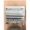 Image 5 : (4) Allen Bradley 24 VDC SINK INPUT 1794-1B16