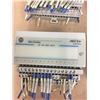 Image 6 : (4) Allen Bradley 24 VDC SINK INPUT 1794-1B16