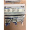 Image 3 : (4) Allen Bradley 24 VDC SINK INPUT 1794-1B16
