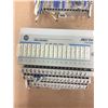 Image 6 : (4) Allen Bradley 24 VDC SINK INPUT 1794-1B16