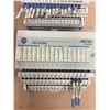 Image 3 : (4) Allen Bradley 24 VDC SINK INPUT 1794-1B16