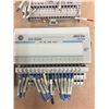 Image 3 : (4) Allen Bradley 24 VDC SINK INPUT 1794-1B16