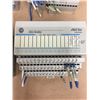 Image 3 : (4) Allen Bradley 24 VDC SINK INPUT 1794-1B16