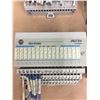 Image 5 : (4) Allen Bradley 24 VDC SINK INPUT 1794-1B16