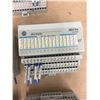 Image 5 : (5) Allen Bradley 24 VDC SINK INPUT 1794-1B16