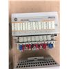 Image 5 : (4) Allen Bradley 120 VAC OUTPUT 1794-0A8