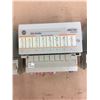 Image 4 : (3) Allen Bradley 120 VAC OUTPUT 1794-0A8