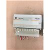 Image 5 : (3) Allen Bradley 120 VAC OUTPUT 1794-0A8