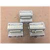 Image 1 : (3) Allen Bradley 120 VAC OUTPUT 1794-0A8