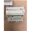 Image 3 : (3) Allen Bradley 120 VAC OUTPUT 1794-0A8