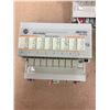 Image 5 : (3) Allen Bradley 120 VAC OUTPUT 1794-0A8