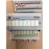Image 3 : (2) Allen Bradley 1794-0A8 w/ 1794-0A16 120 VAC OUTPUT