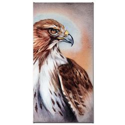 American Redtail Hawk by Katon, Martin