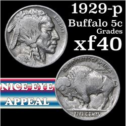 1929-p Buffalo Nickel 5c Grades xf