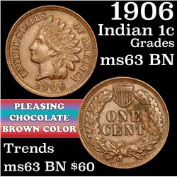 1906 Indian Cent 1c Grades Select Unc BN
