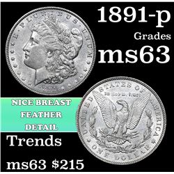 1891-p Morgan Dollar $1 Grades Select Unc