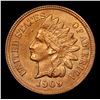 Image 2 : 1909 Indian Cent 1c Grades Select Unc RB