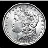 Image 3 : ***Auction Highlight*** 1882-o/s Morgan Dollar $1 Graded Select Unc By USCG (fc)