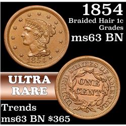 1854 Braided Hair Large Cent 1c Grades Select Unc BN