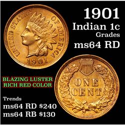 1901 Indian Cent 1c Grades Choice Unc RD (fc)