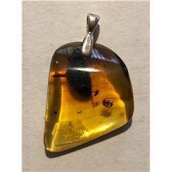 Beautiful Amber Pendant Filled with Insects and Plants Total 4.1 Grams Sterling Silver Clasp