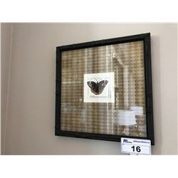 BUTTERFLY FRAMED ARTWORK