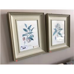 PAIR OF BOTANICAL PRINTS FRAMED ARTWORK