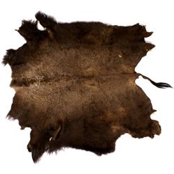 Montana Wild Trophy Buffalo Fur Hide