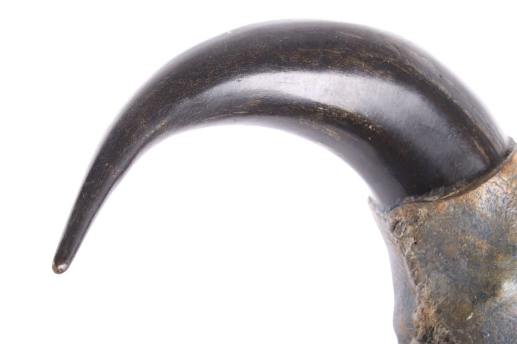 Sioux Buffalo Medicine Man Horn Dance Rattle