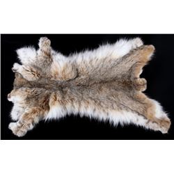 Montana Taxidermy Bobcat Hide