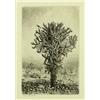 Image 1 : George Elbert Burr, Drypoint Etching
