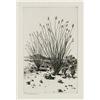 Image 1 : George Elbert Burr, Drypoint Etching