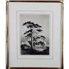 Image 2 : George Elbert Burr, Etching