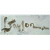 Image 3 : Lyle Tayson, Sr., Oil on Canvas