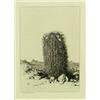 Image 1 : George Elbert Burr, Drypoint Etching
