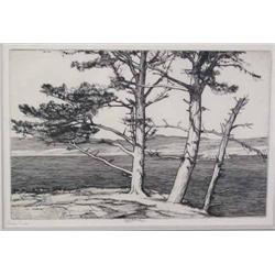 Roi Partridge, Etching