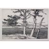 Image 1 : Roi Partridge, Etching