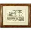 Image 2 : Roi Partridge, Etching