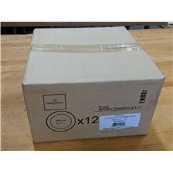 11" INFINITY DINNER PLATES - LOT OF 12 (1 CASE)