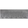 Image 3 : CARDINAL ARCOROC GOTHAM 10 OZ. ROCKS GLASS, 1 CASE