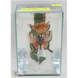 BUTTERFLY UNDER GLASS.